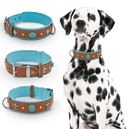 Nizza Hundehalsband