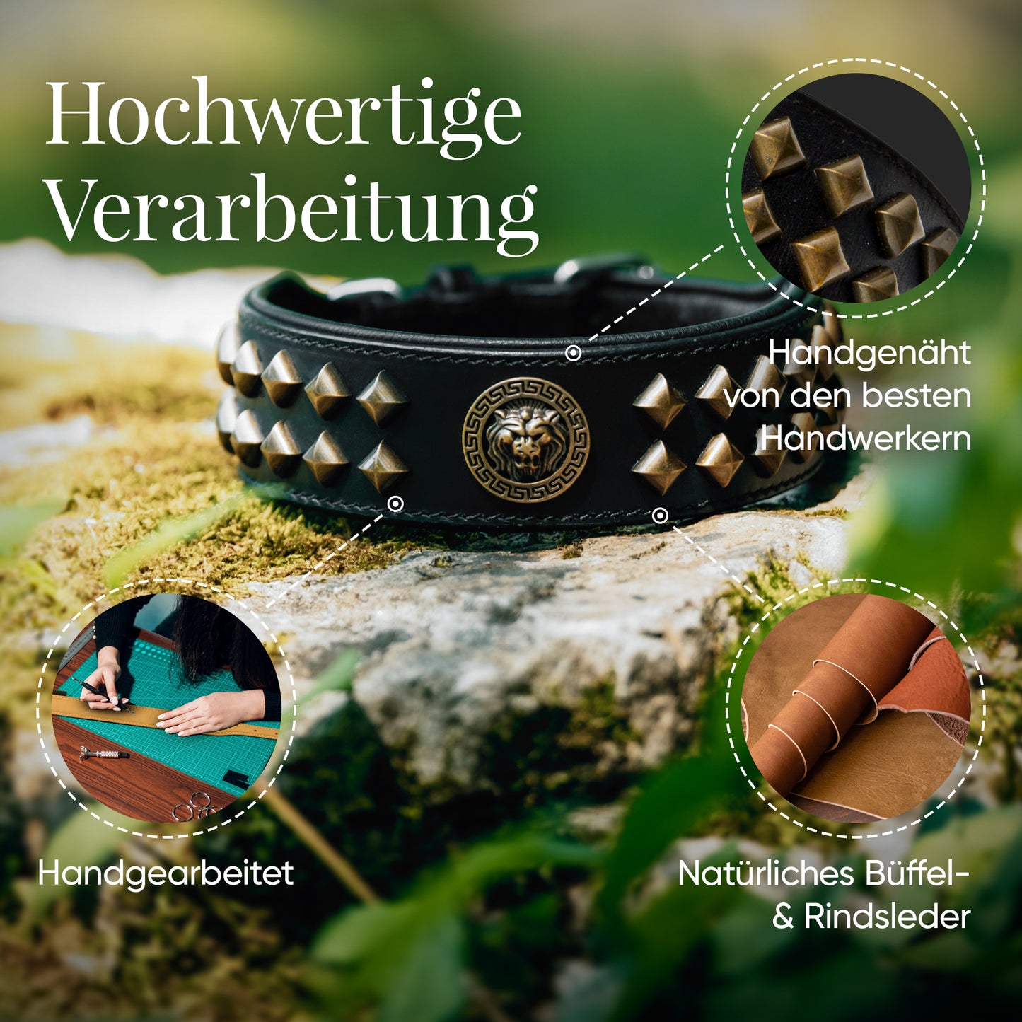 Diego Schwarz Hundehalsband