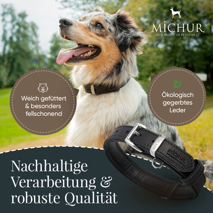 Minimo Hundehalsband Schwarz