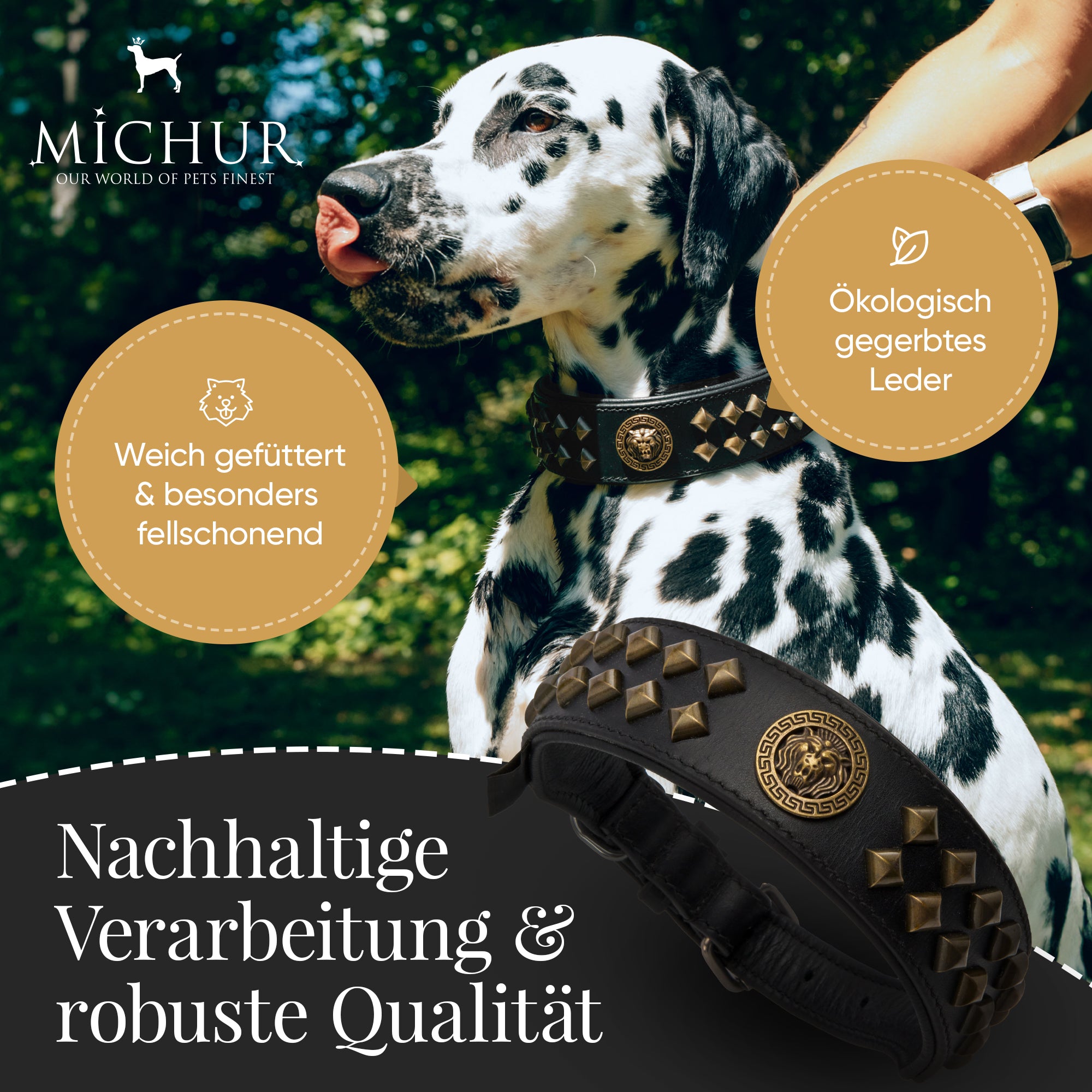 Diego Schwarz Halsband online kaufen bei Michur