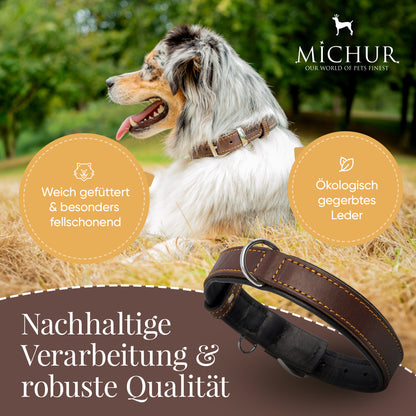 Minimo Hundehalsband Braun