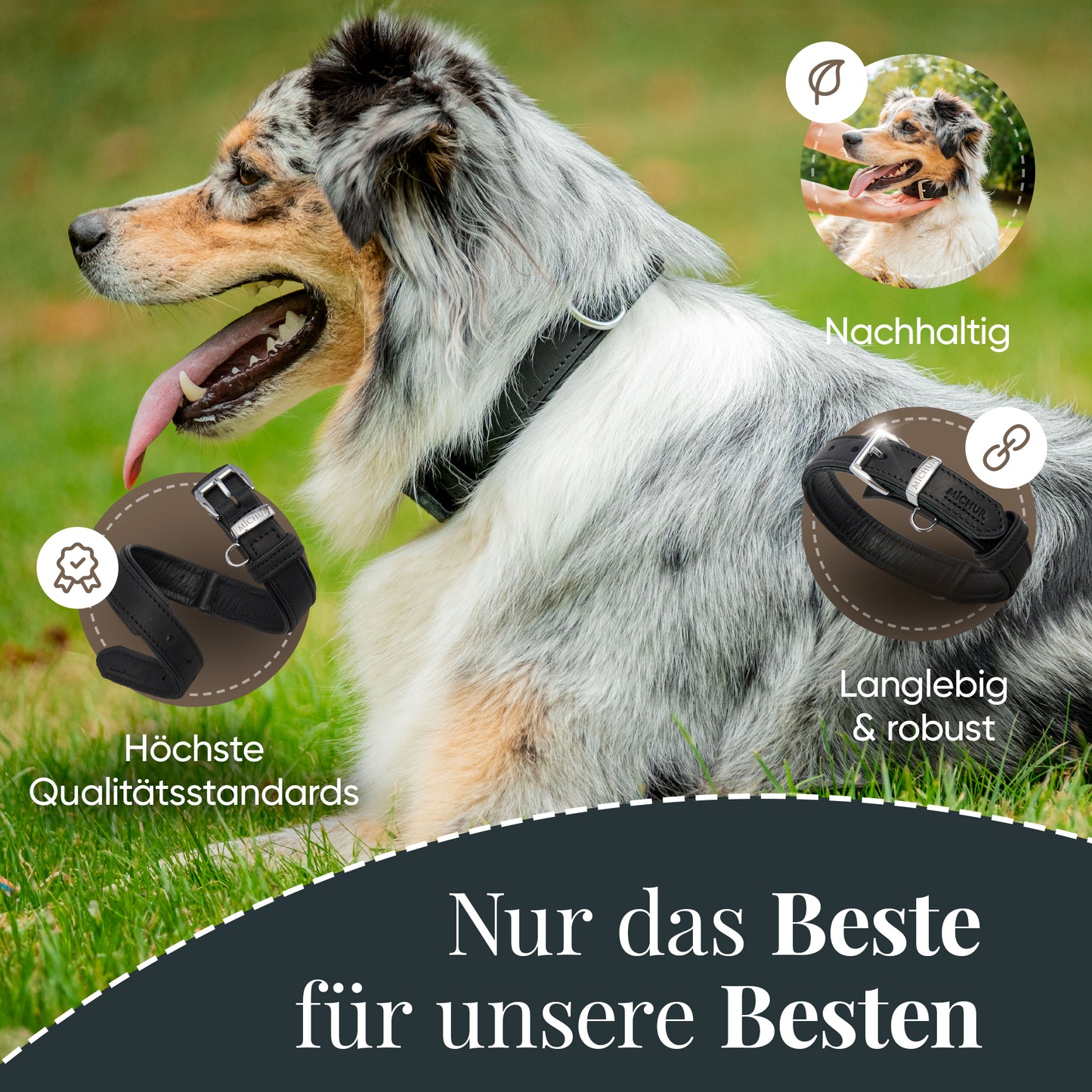 Minimo Hundehalsband Schwarz