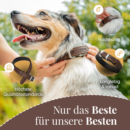 Minimo Hundehalsband Braun