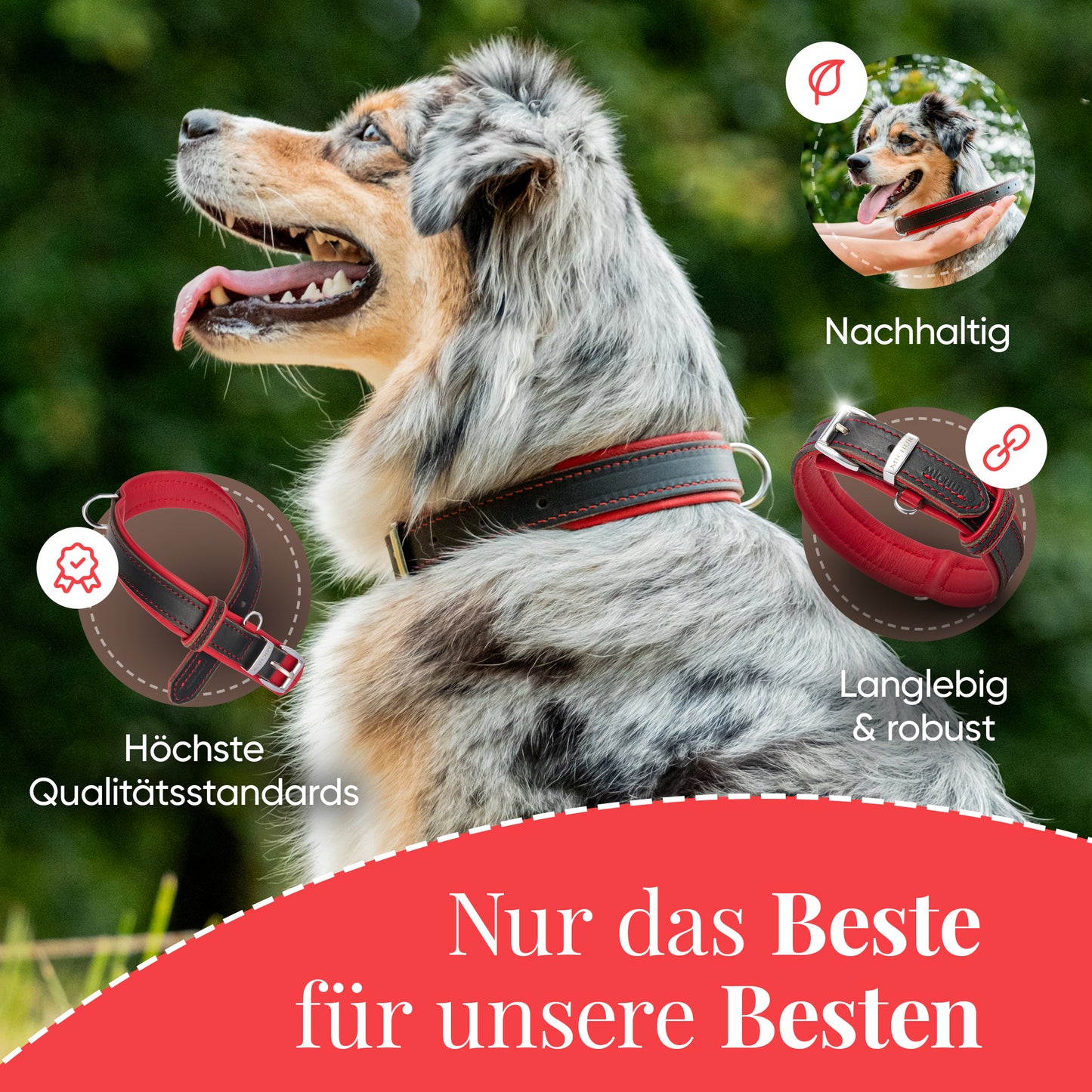 Minimo Hundehalsband Rot