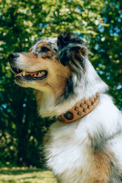 Diego Beige Hundehalsband