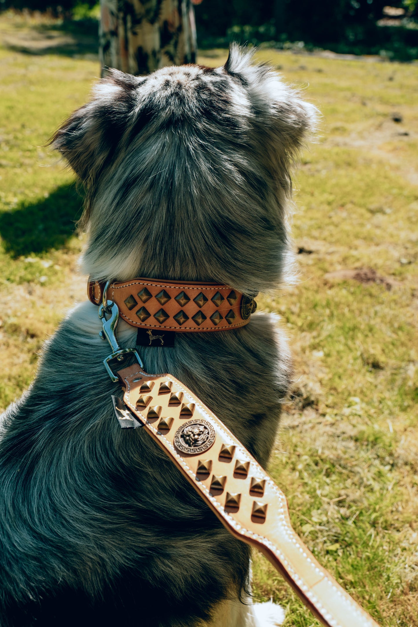 Diego Beige Hundehalsband