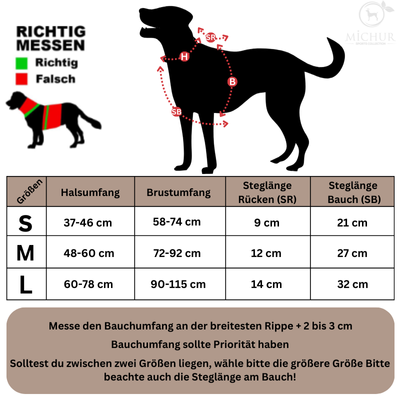 Rocky Hundegeschirr