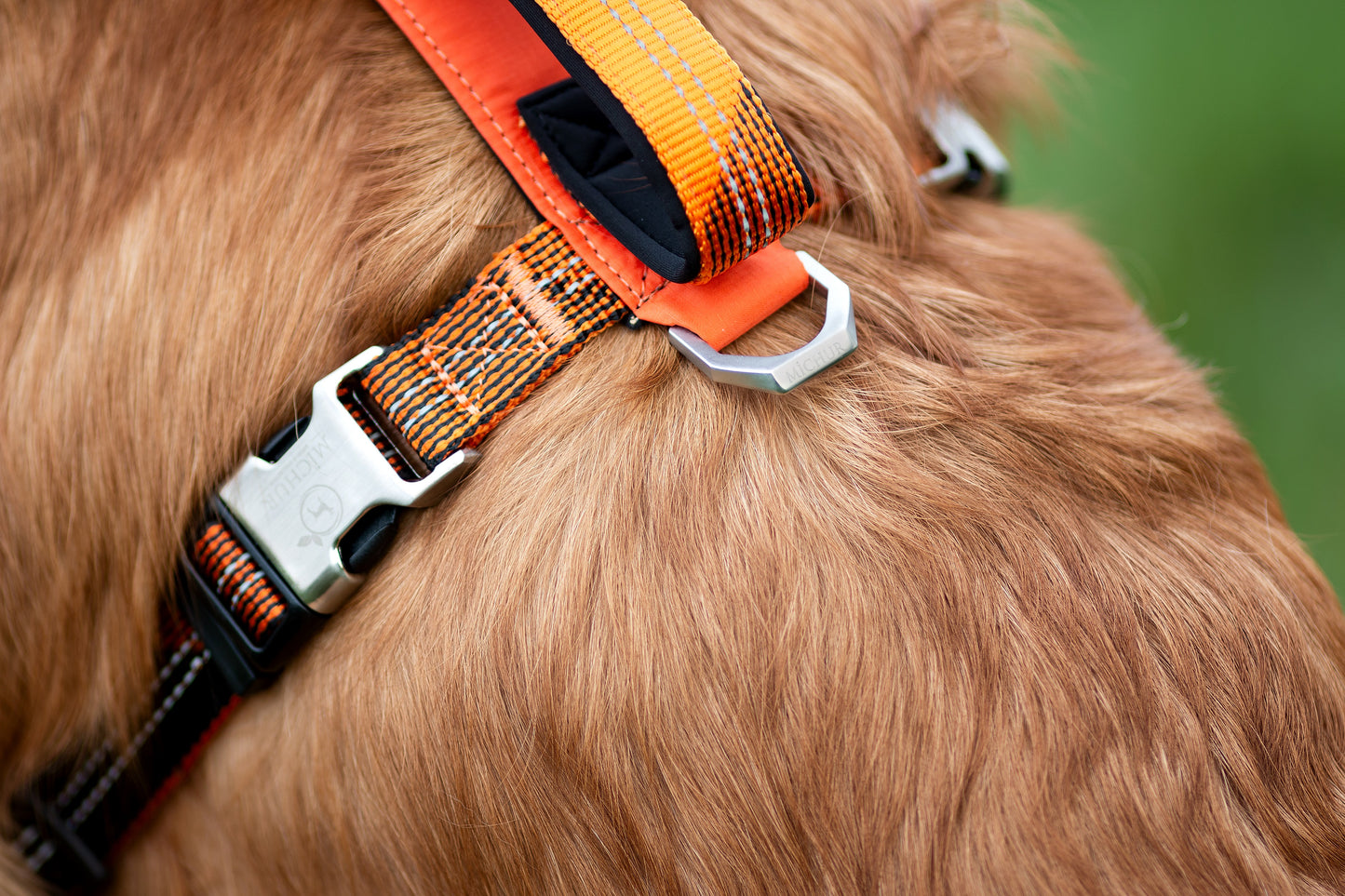 Bruno Hundegeschirr Orange