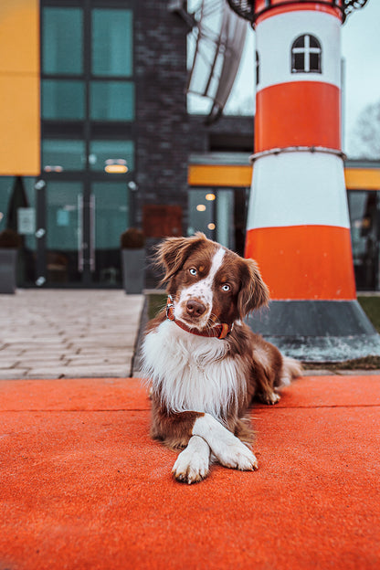 Charly Hundehalsband Rot