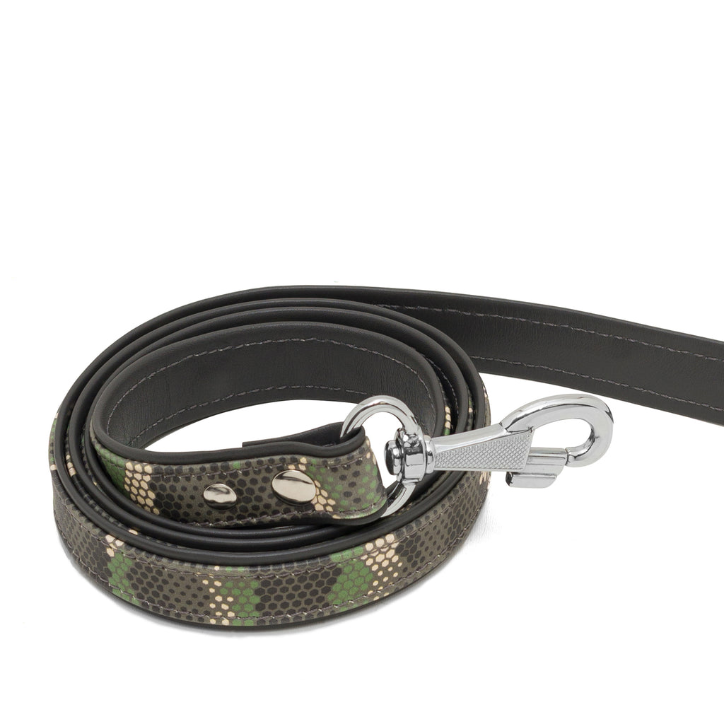 GG Collar & Leash